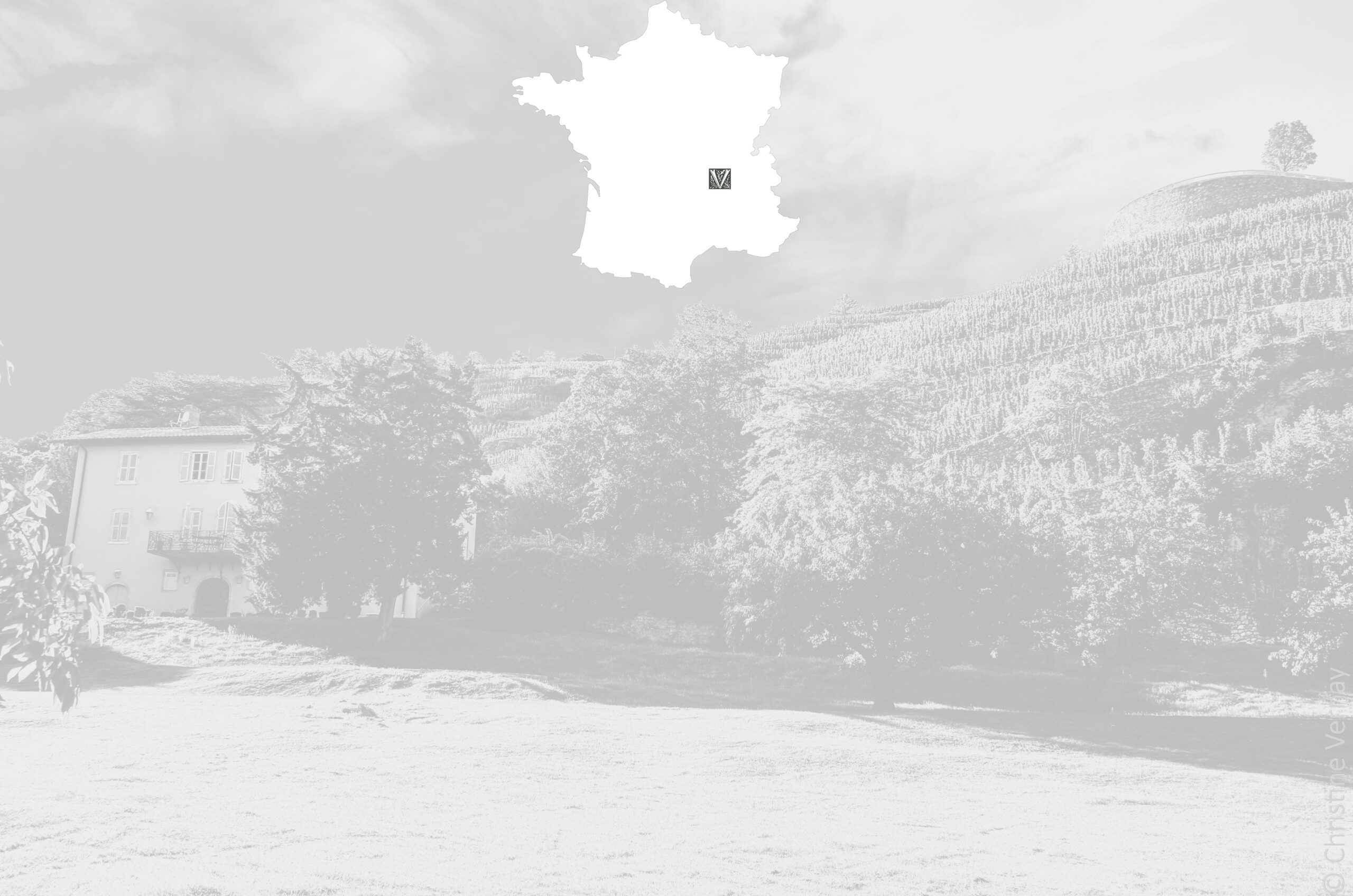Logo Domaine Georges Vernay - Christine Vernay