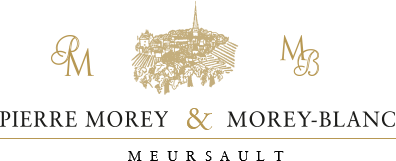 Logo Hospices de Beaune (Morey Blanc)