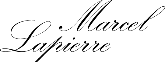 Logo Domaine Lapierre
