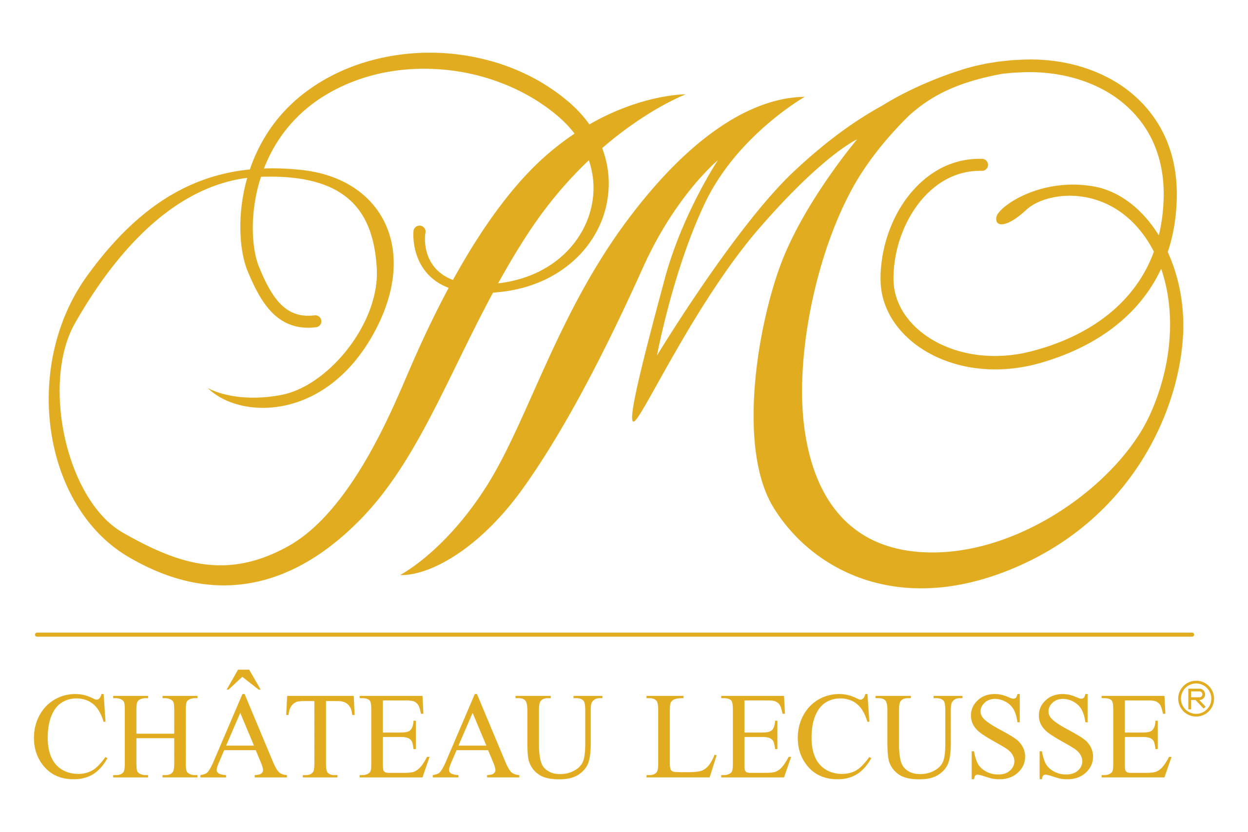 Logo Château Lecusse