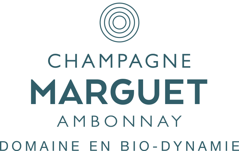 Logo Champagne Marguet
