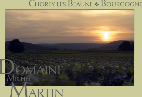Logo Martin Michel