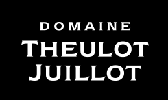 Logo Domaine Theulot Juillot