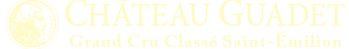 Logo Villhardy