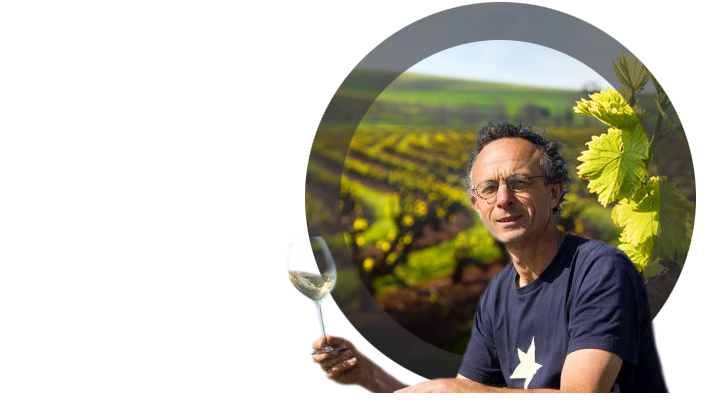 Logo Caillé Vincent