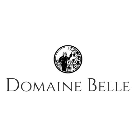 Logo Domaine Belle