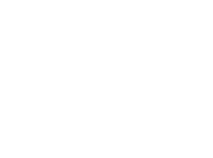 Logo Vignobles Berthier