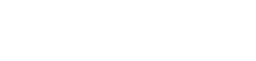 Logo Domaine Denis Race