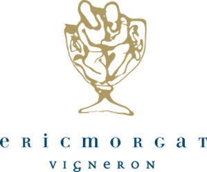 Logo Domaine Eric Morgat
