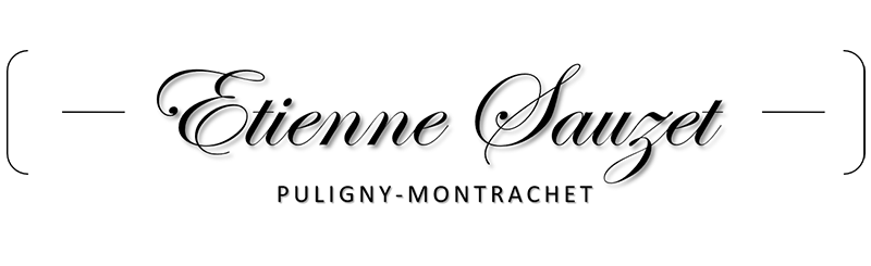 Logo Etienne Sauzet
